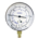 RG600-80 PNM Blue Compound Gauge
